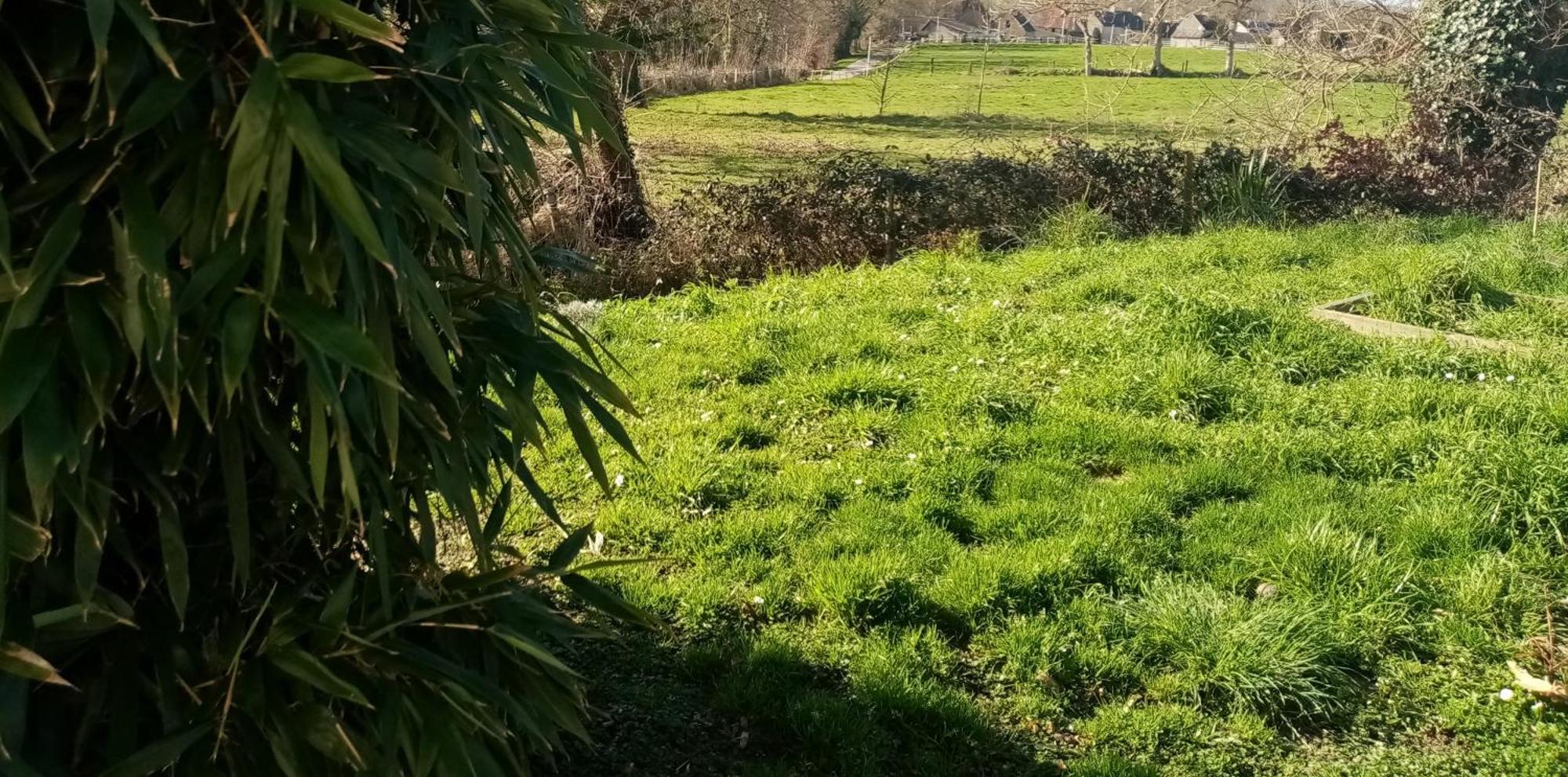 La Campagne Au Bord De La Mer, Chambre Chez L'Habitant Champeaux 外观 照片